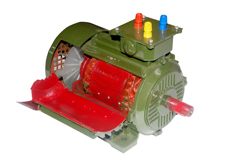 WORKING-CUT-SECTION-OF-AC-MOTOR